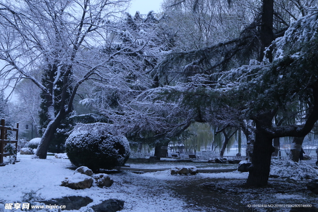 冬日初雪