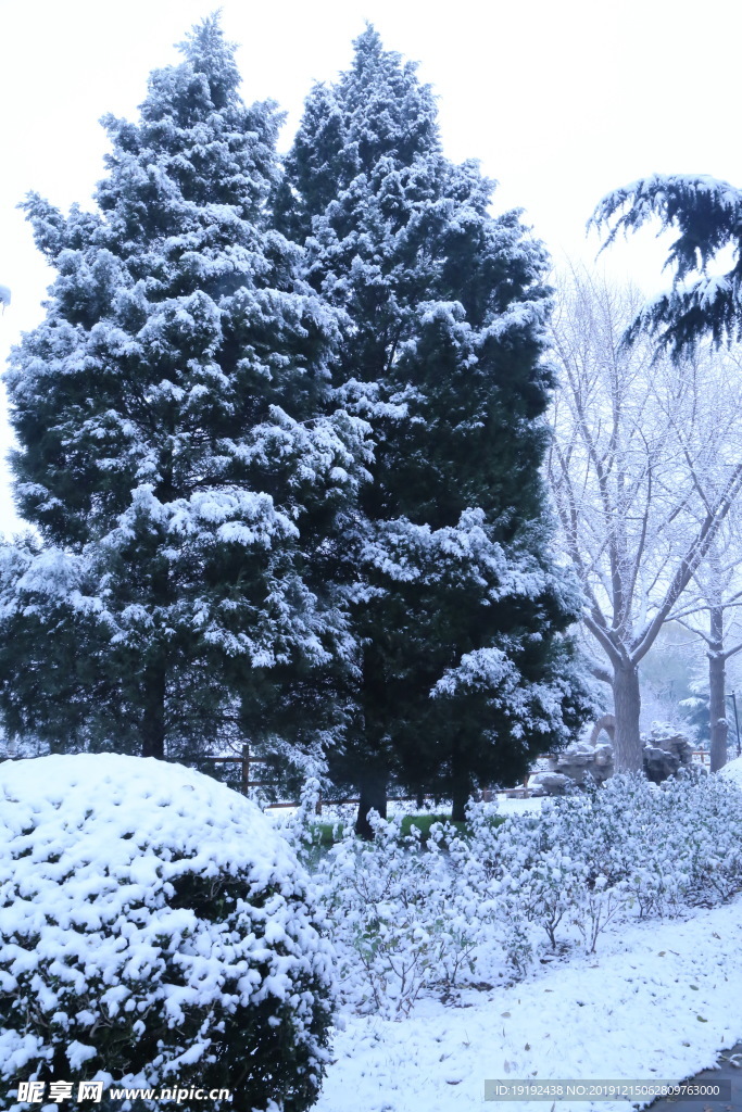 冬日初雪