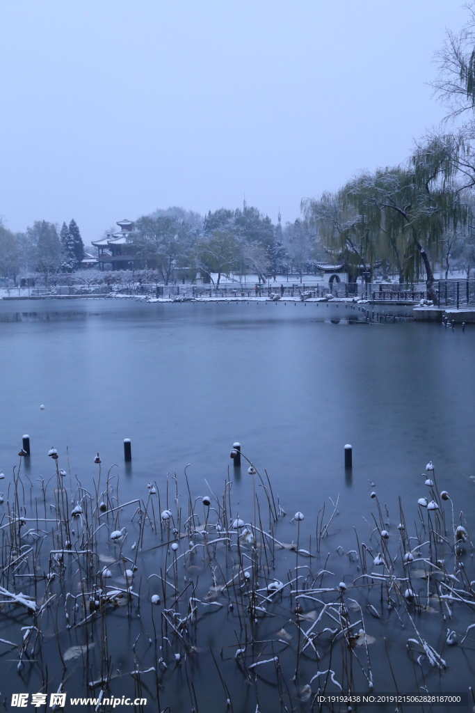 冬日初雪