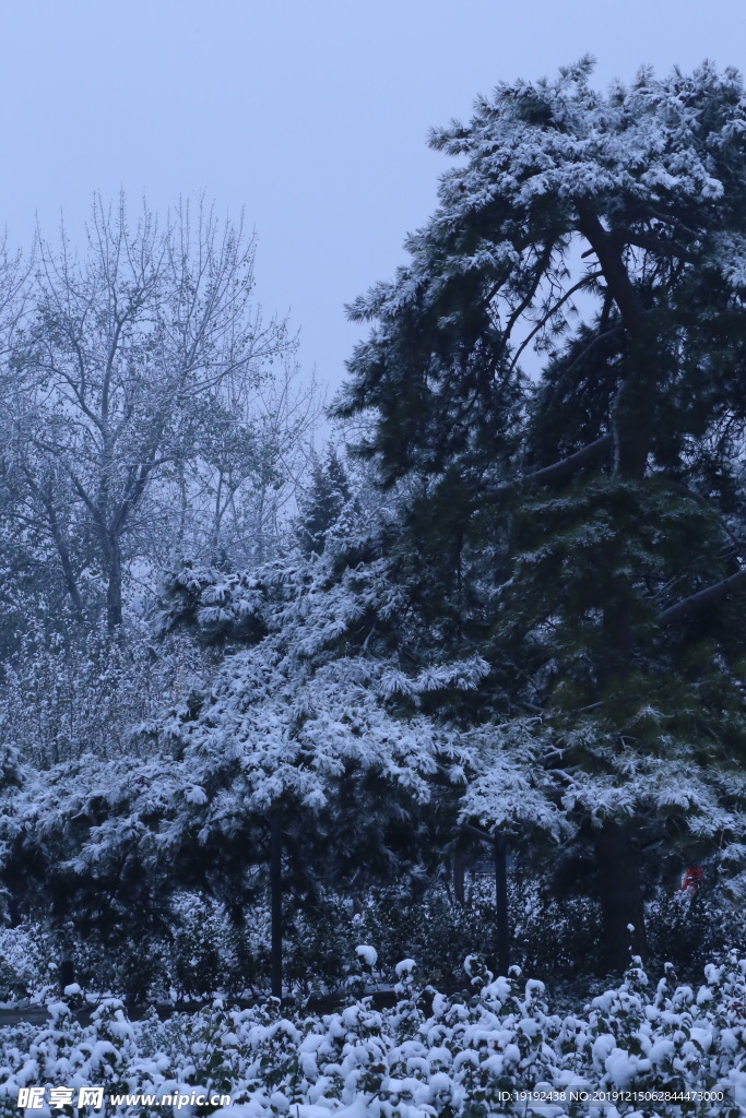 冬日初雪