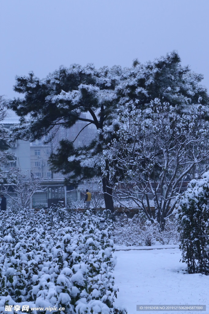 冬日初雪