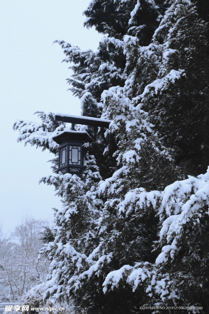 冬日初雪