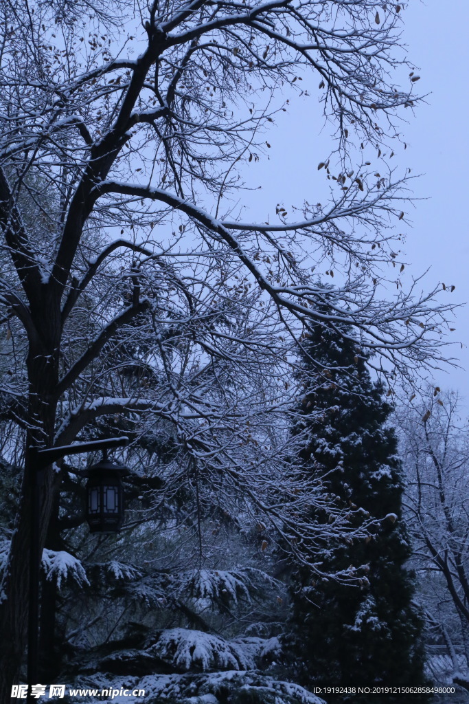 冬日初雪