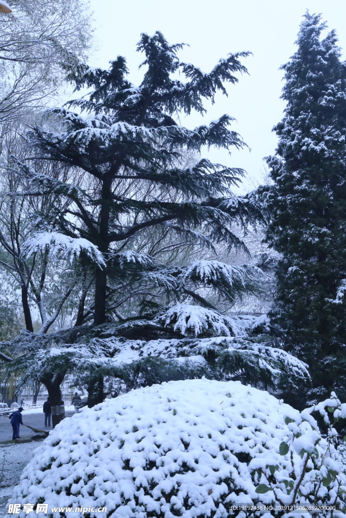 冬日初雪