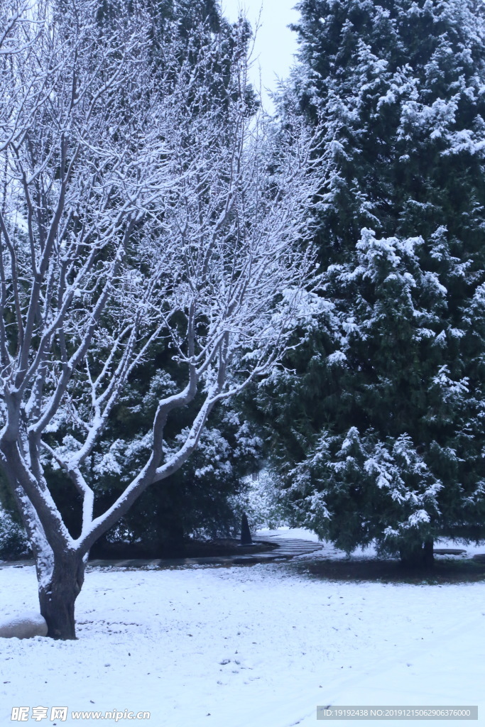 冬日初雪