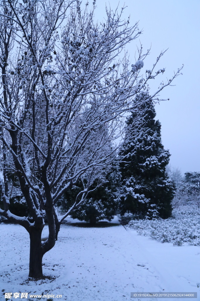 冬日初雪