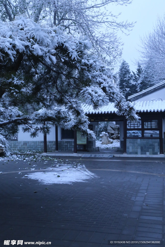 冬日初雪
