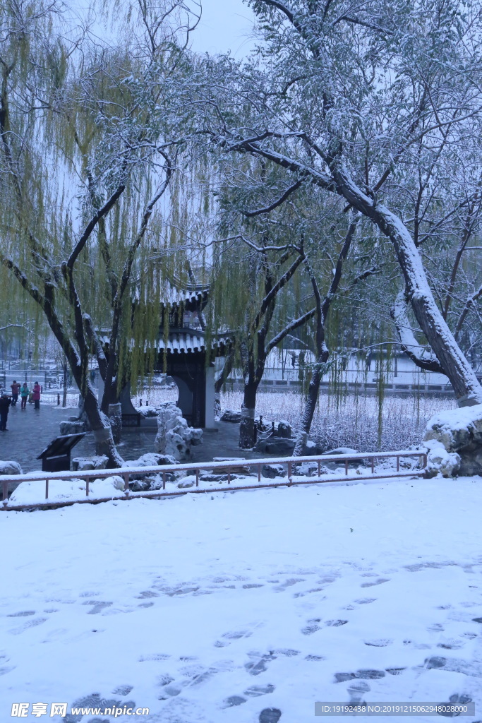 冬日初雪