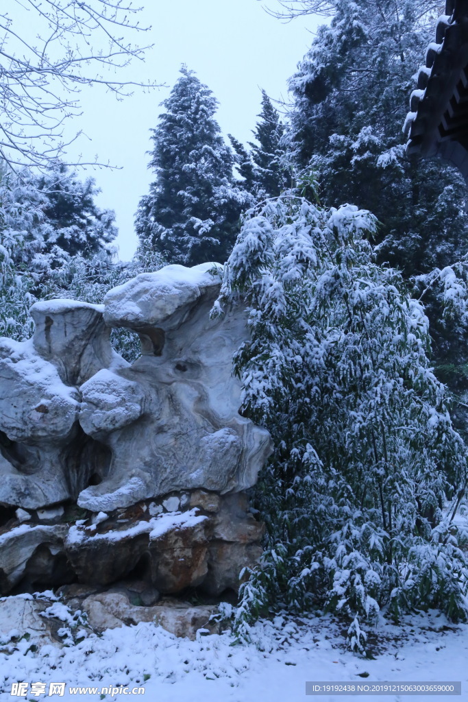 冬日初雪
