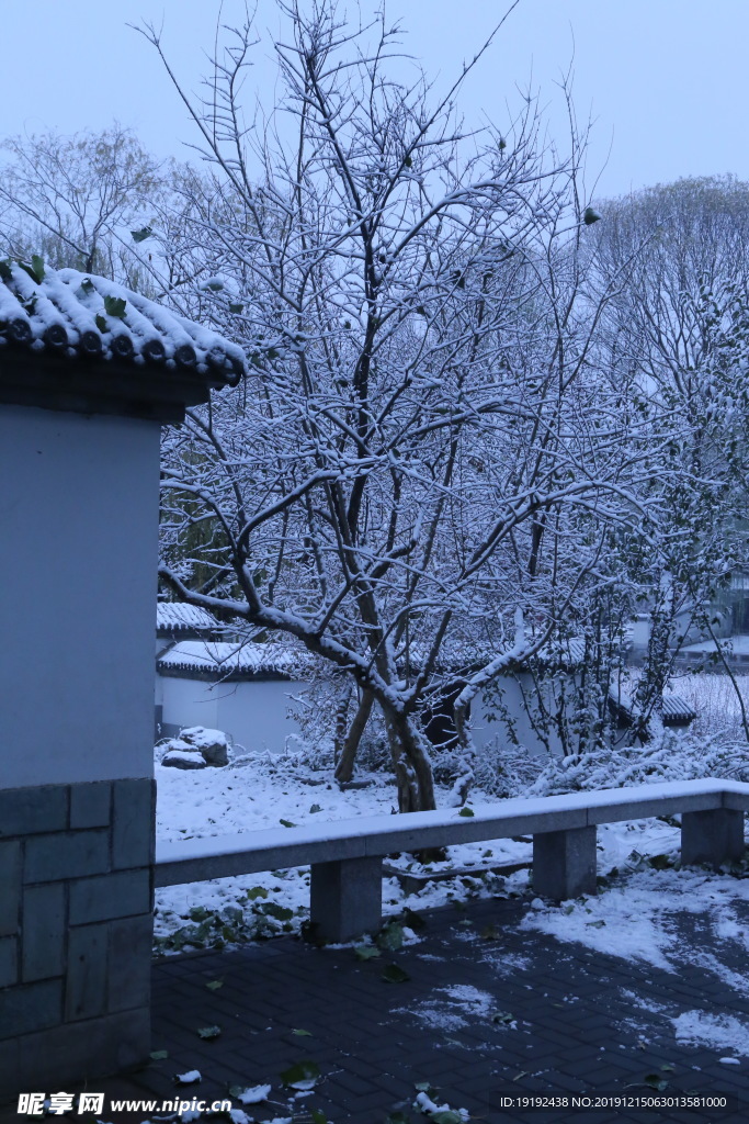 冬日初雪