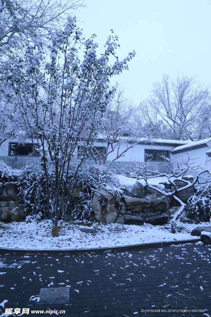 冬日初雪