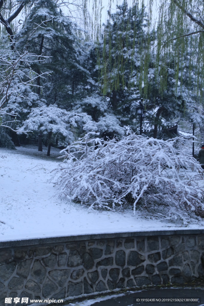 冬日初雪