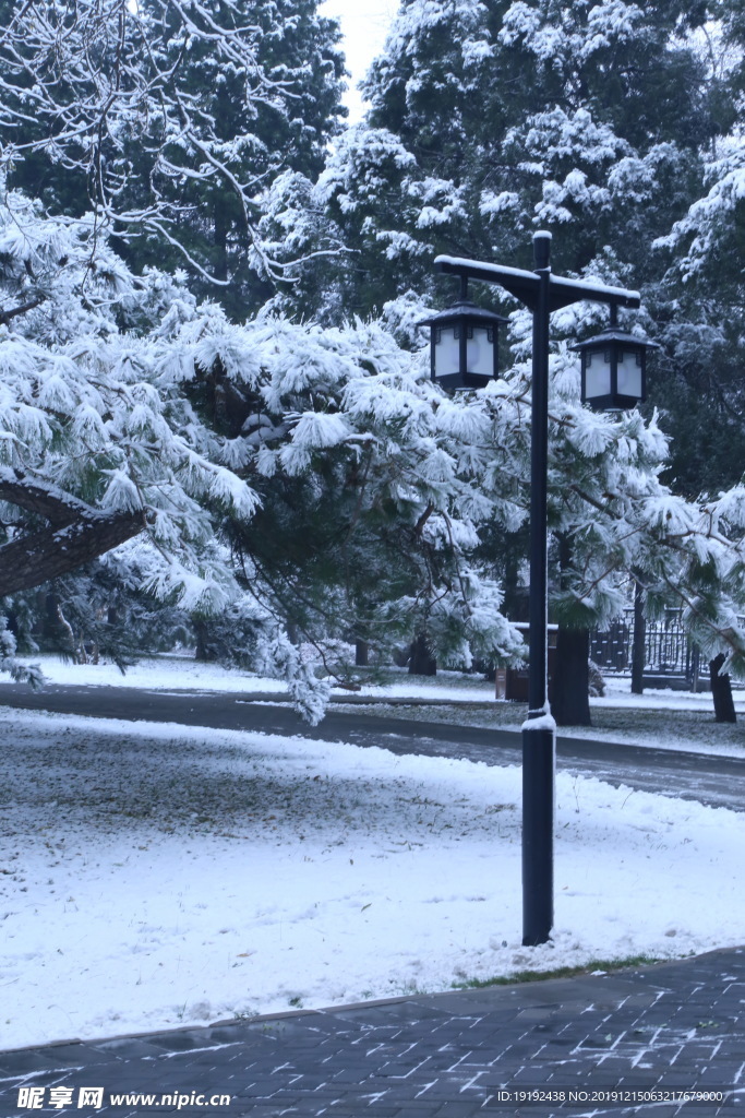 冬日初雪