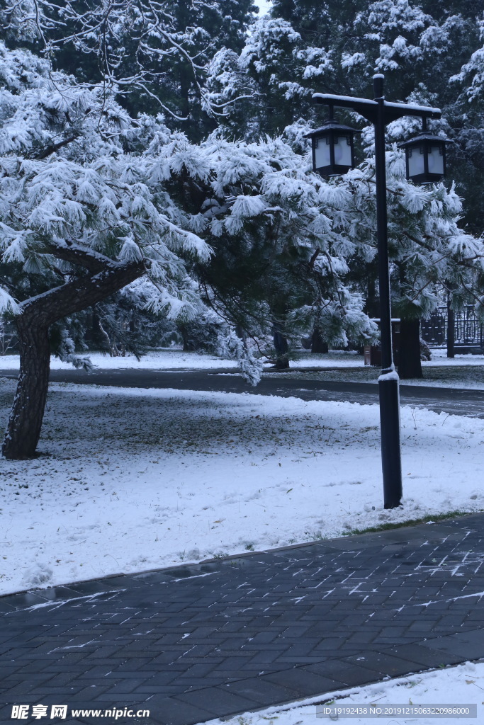 冬日初雪