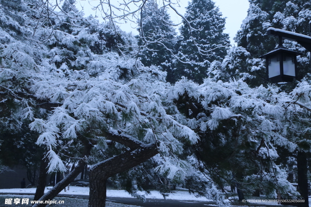 冬日初雪