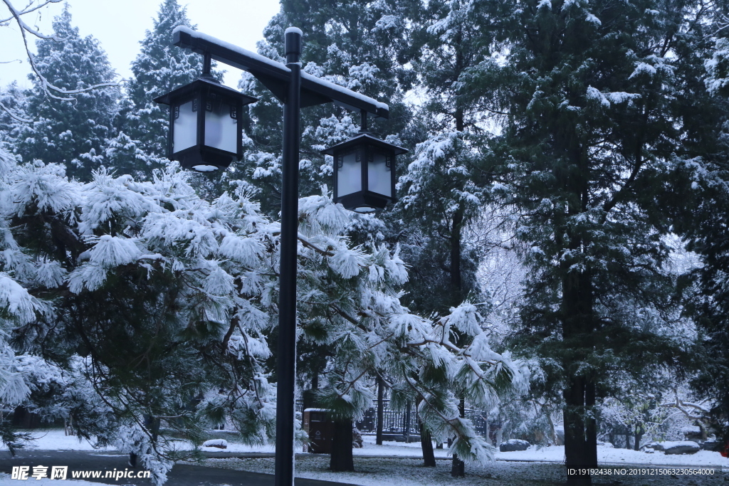 冬日初雪