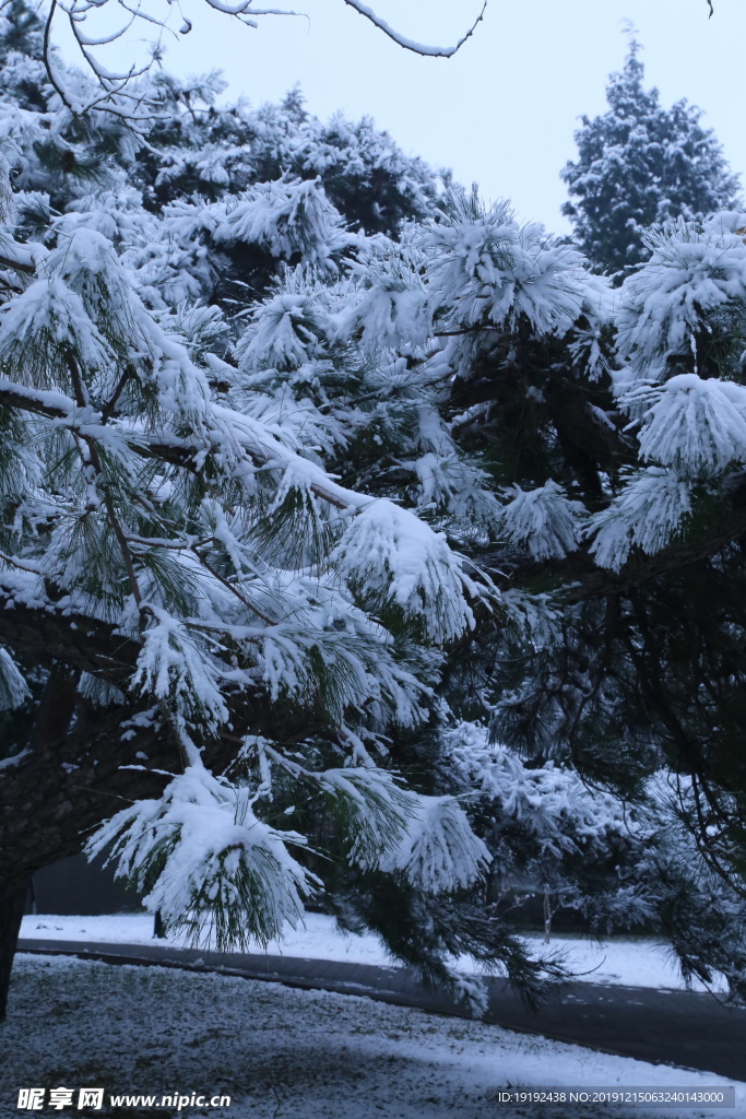冬日初雪