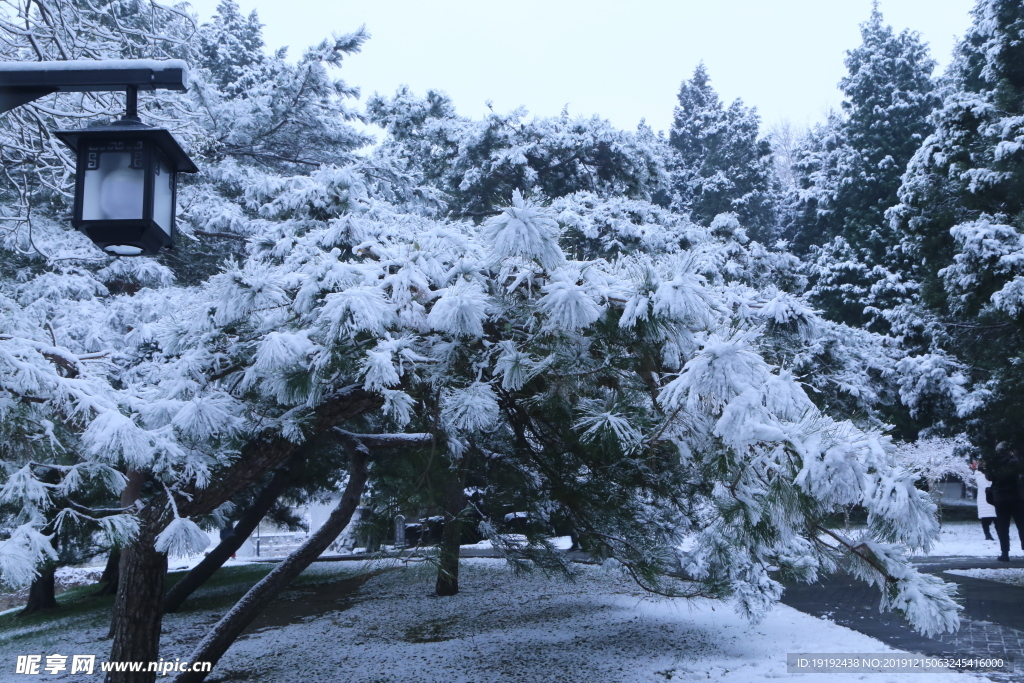 冬日初雪