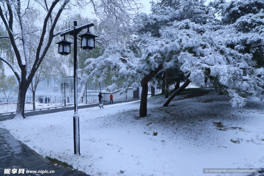冬日初雪