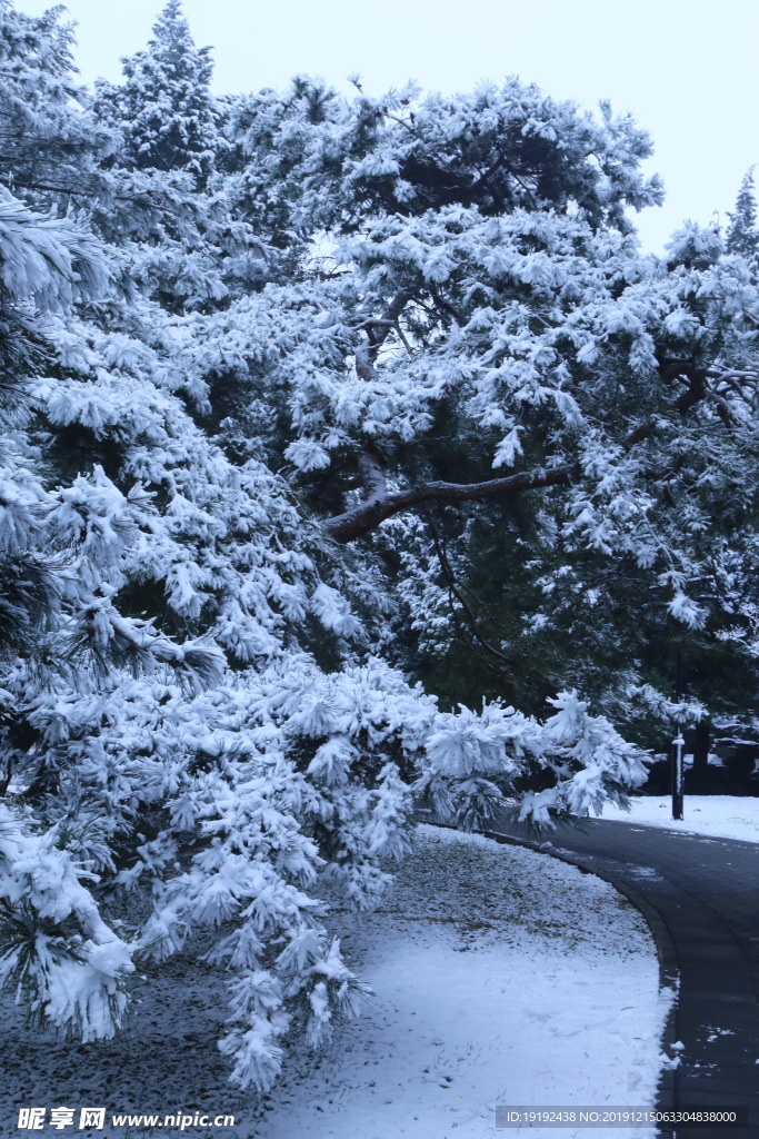 冬日初雪