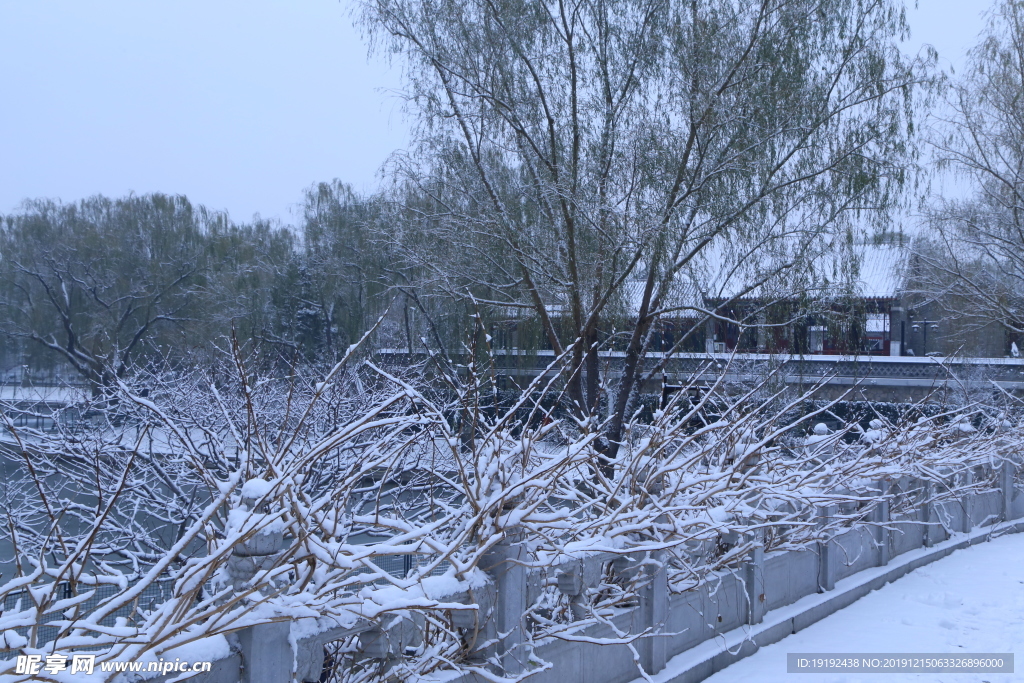 冬日初雪
