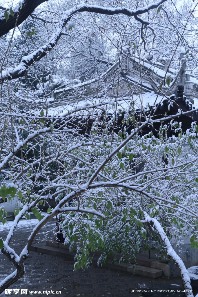 冬日初雪