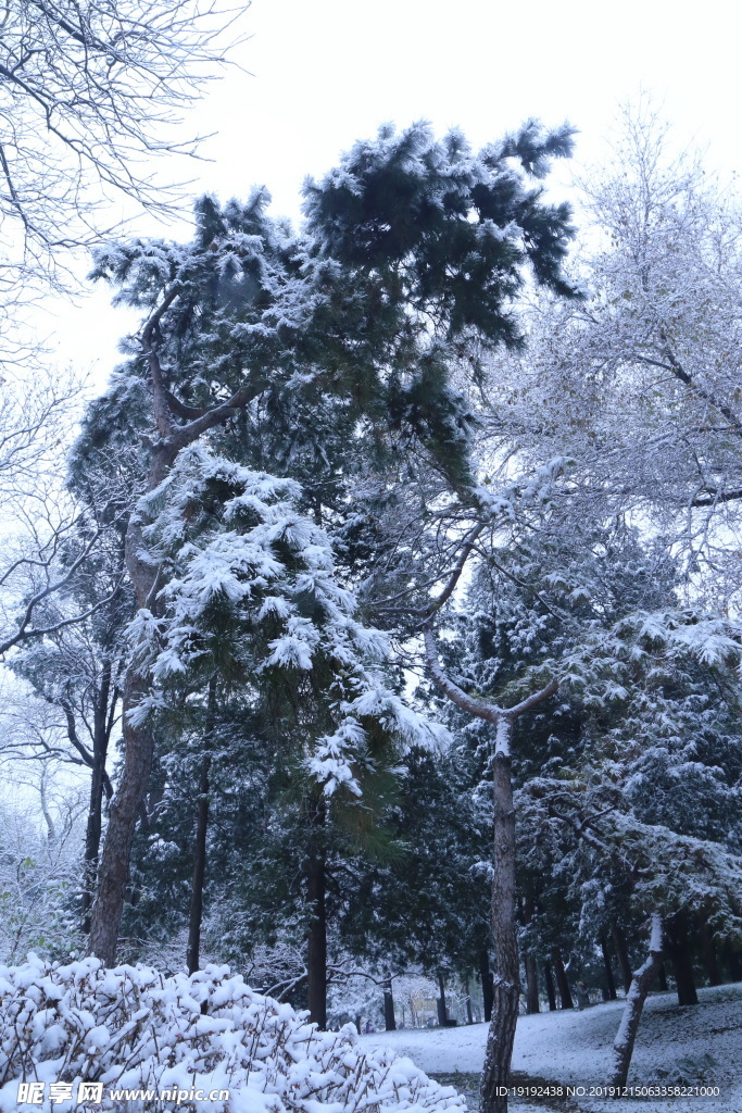 冬日初雪