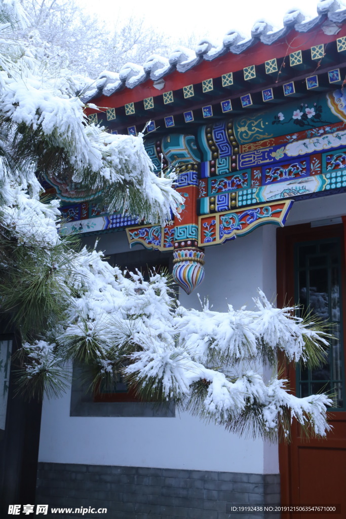 冬日初雪