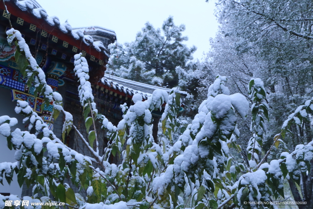 冬日初雪