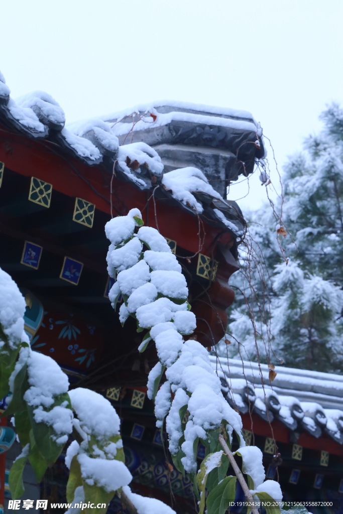 冬日初雪