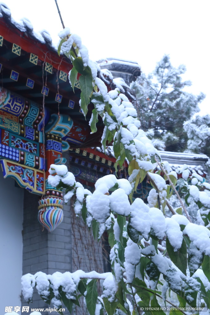 冬日初雪