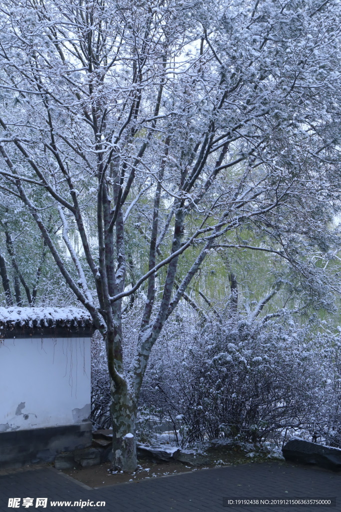 冬日初雪