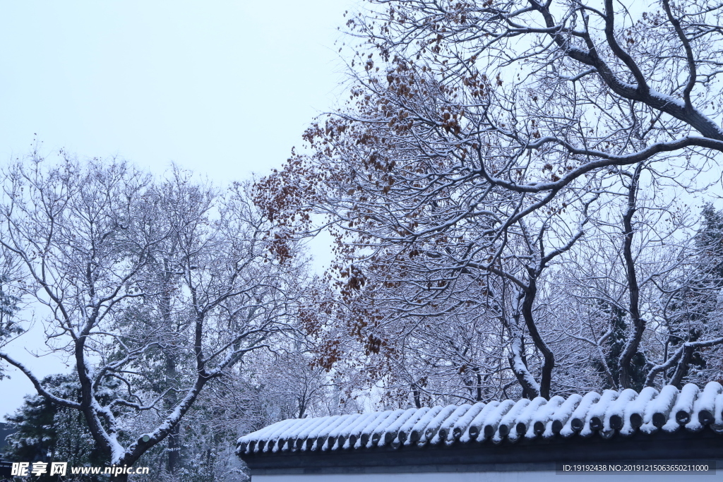 冬日初雪