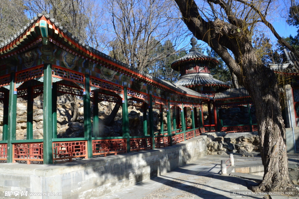 冬日风景