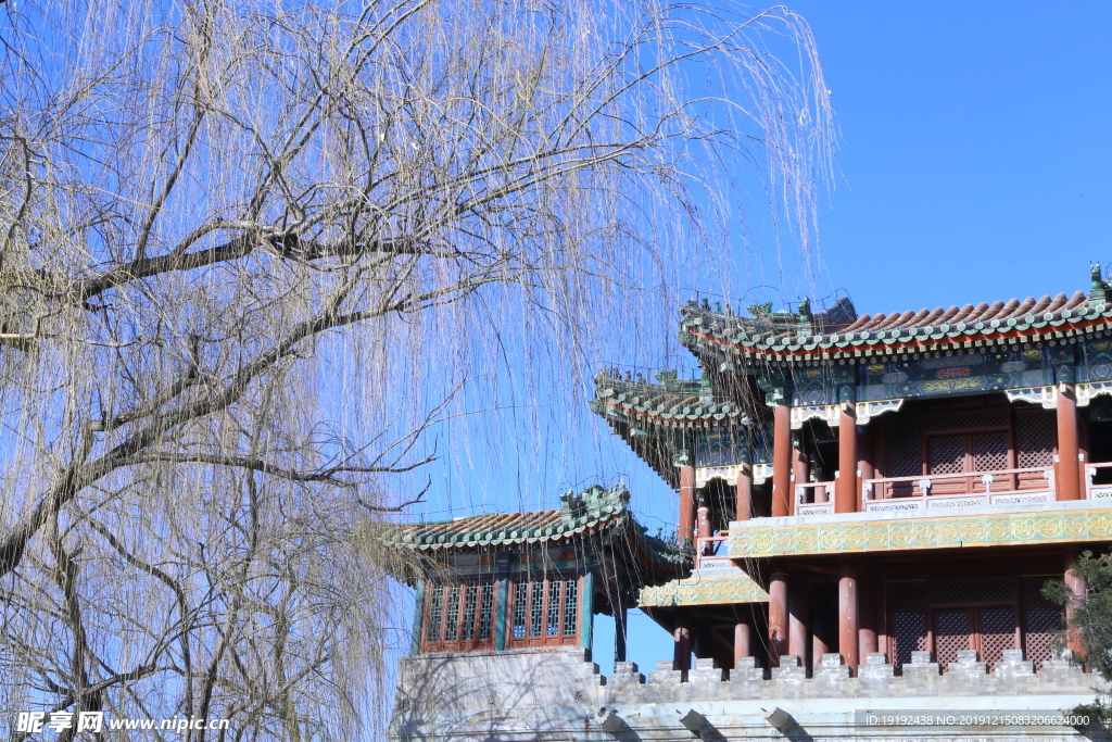 冬日风景