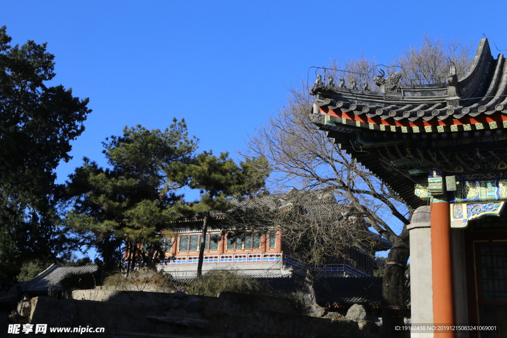 冬日风景
