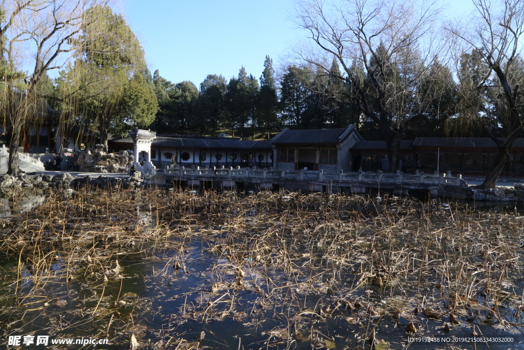 冬日风景