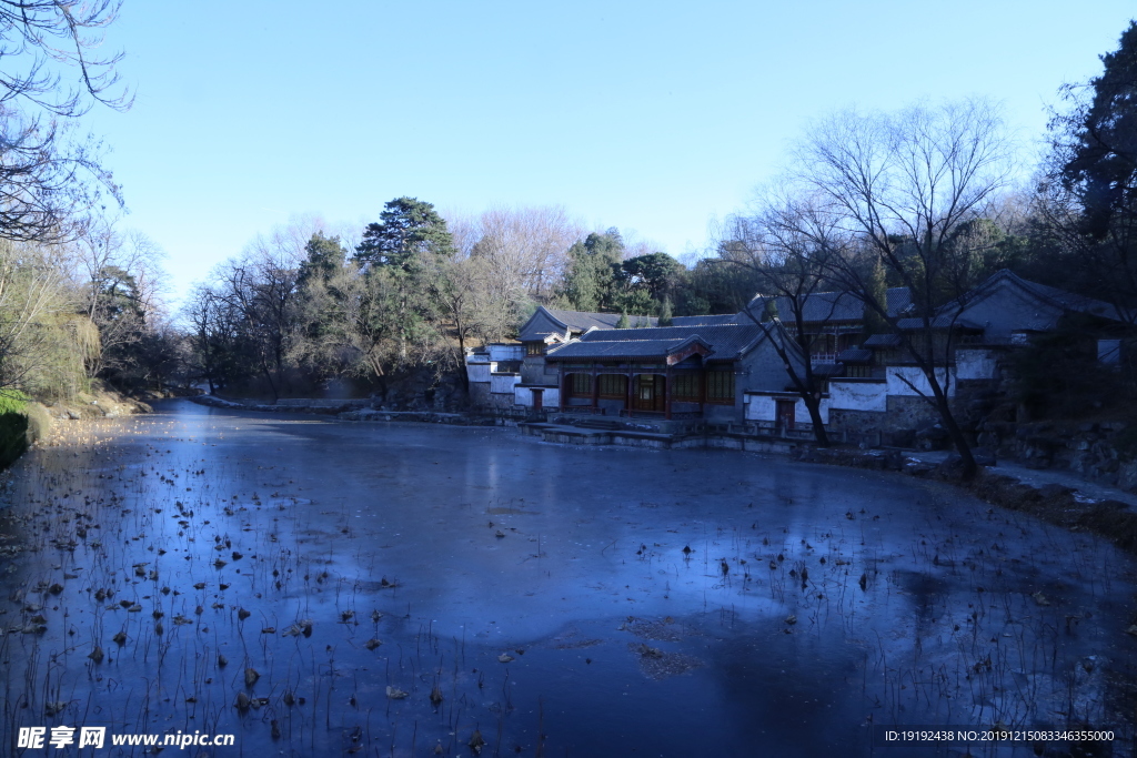 冬日风景