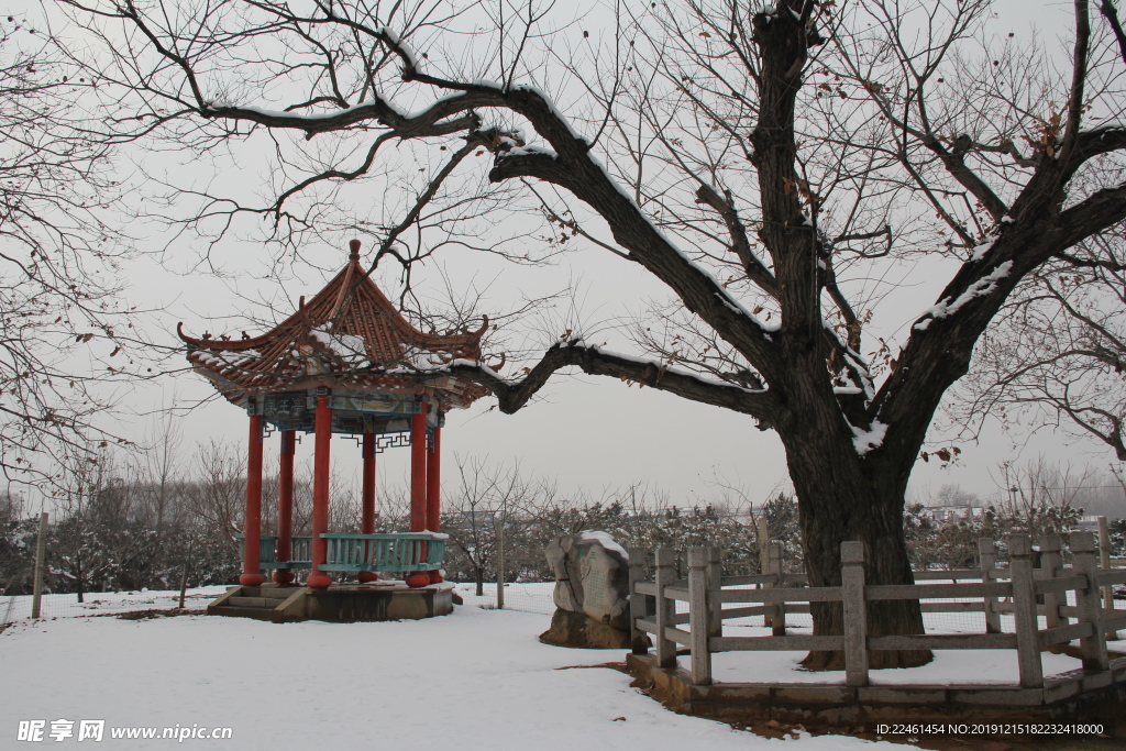 雪后树下凉亭