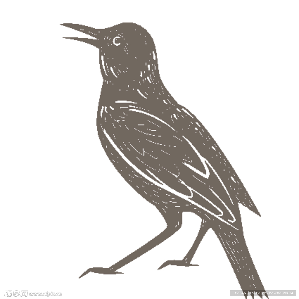 卡通花鸟装饰图案