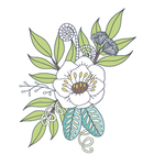小清新花朵植物插画