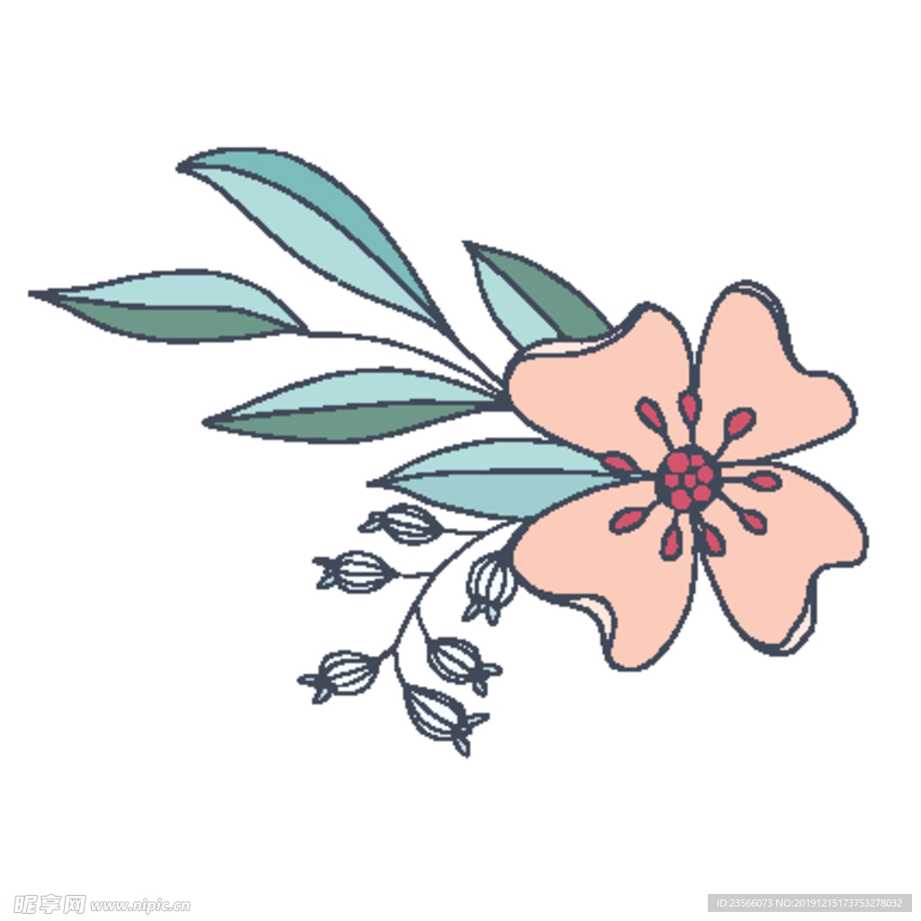 小清新花朵植物插画
