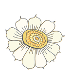 花朵蝴蝶卡通图案