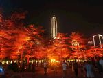 夜景