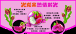 火龙果