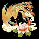 鸟
