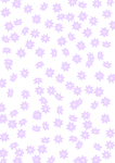 花纹