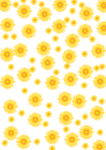 葵花花纹