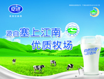 牛奶海报