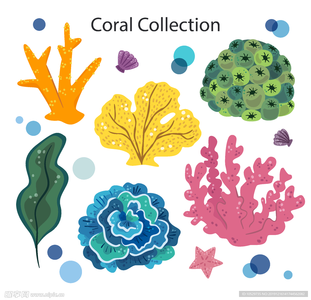 海洋生物